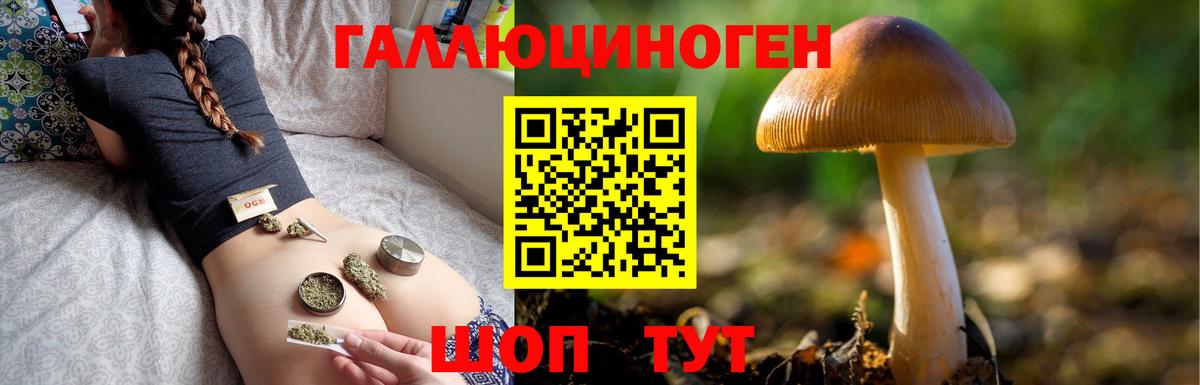 Галлюциногенные грибы Magic Shrooms Якутск
