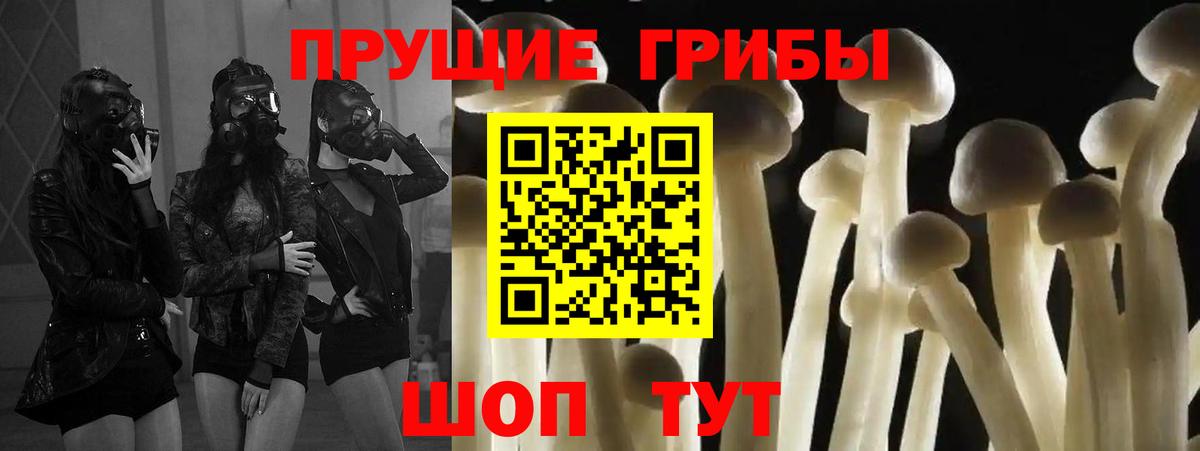 Галлюциногенные грибы Cubensis  Вход с VPN  Якутск  Галлюциногенные грибы Psilocybine cubensis 